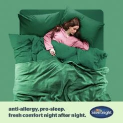 Silentnight Anti-Allergy Medium/ Soft Pillow - 2 Pack -Habitat 1274299 R Z007A