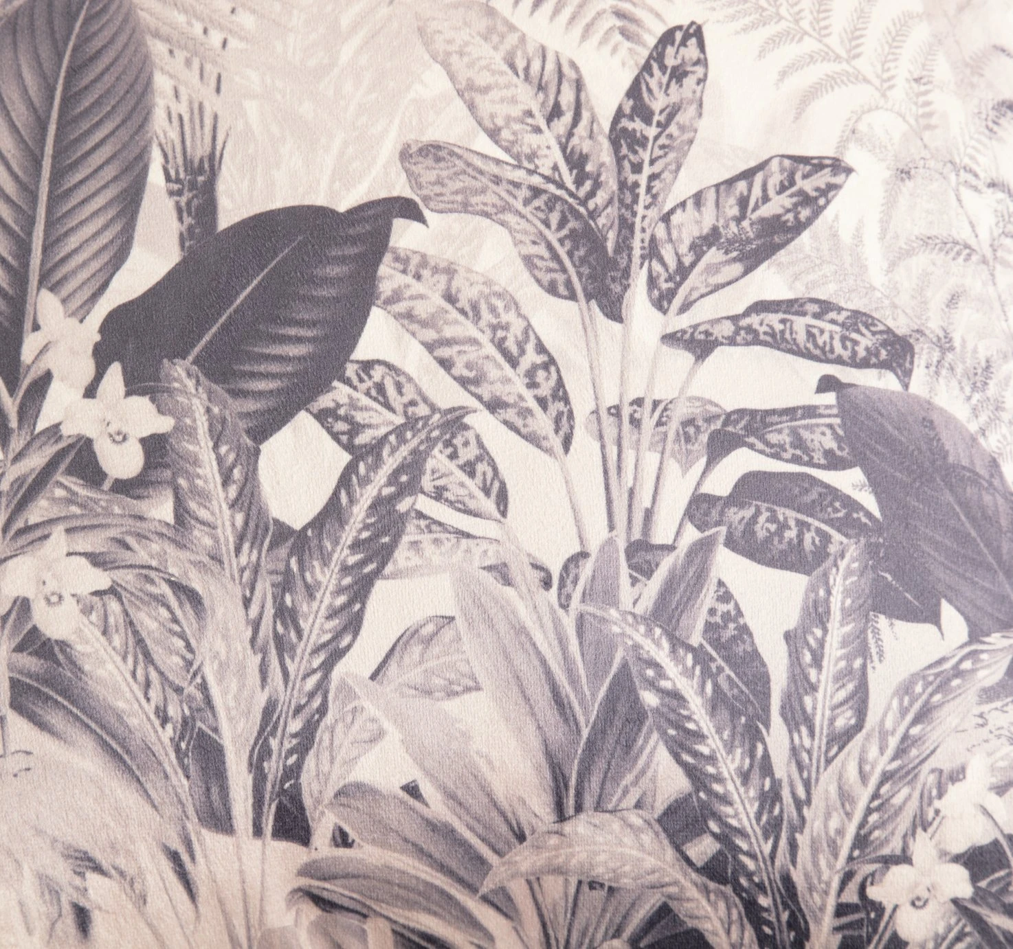 Habitat Tropical Fringed Cushion - Multi - 50x50cm 5 Habitat Tropical Fringed Cushion - Multi - 50x50cm - Image 3